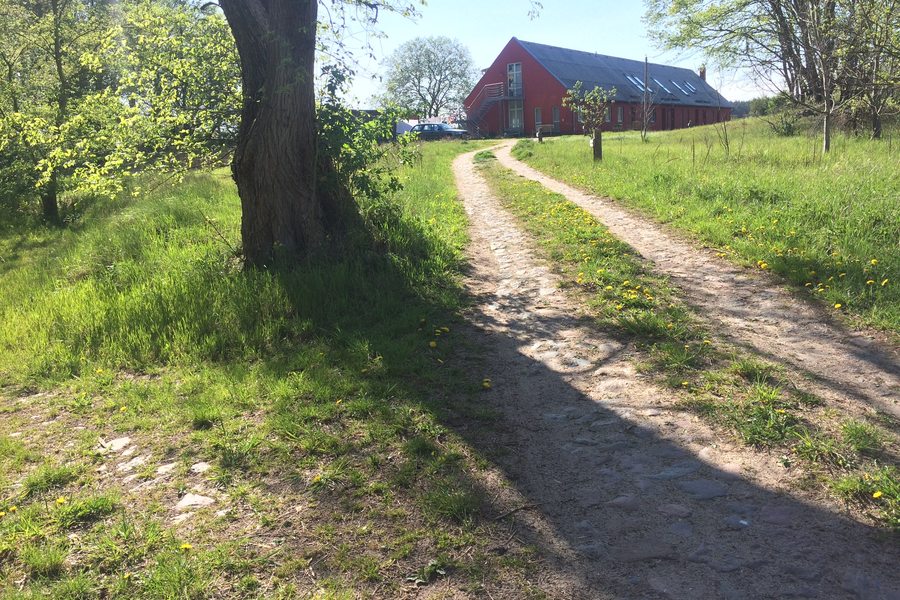 Die Auffahrt im Frühjahr