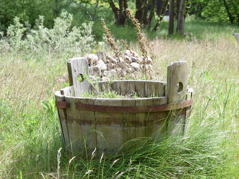 Kr&auml;uter im alten Bottich