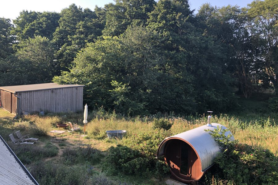 Garten mit Fasssauna und Liegestühlen im Sommer