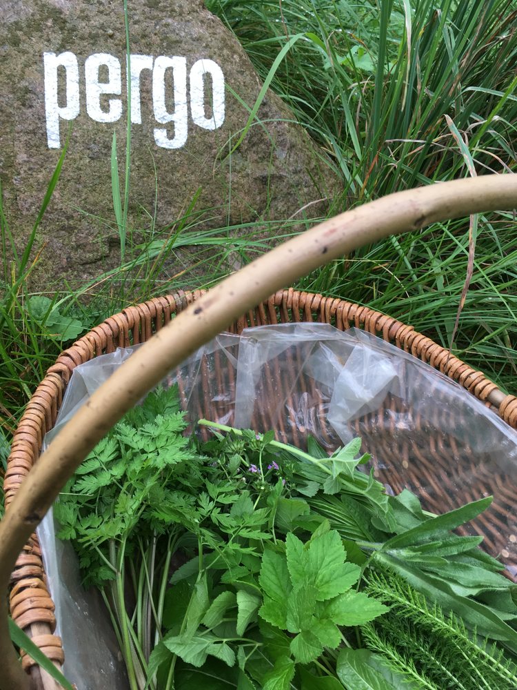 Frisch geschnittene Kr&auml;uter am pergo-Stein
