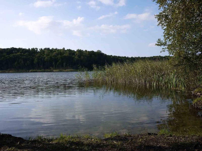 der See im Sommer