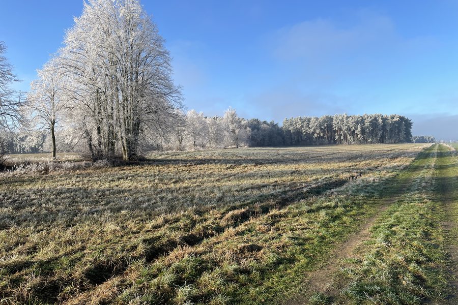 Gefrorener See