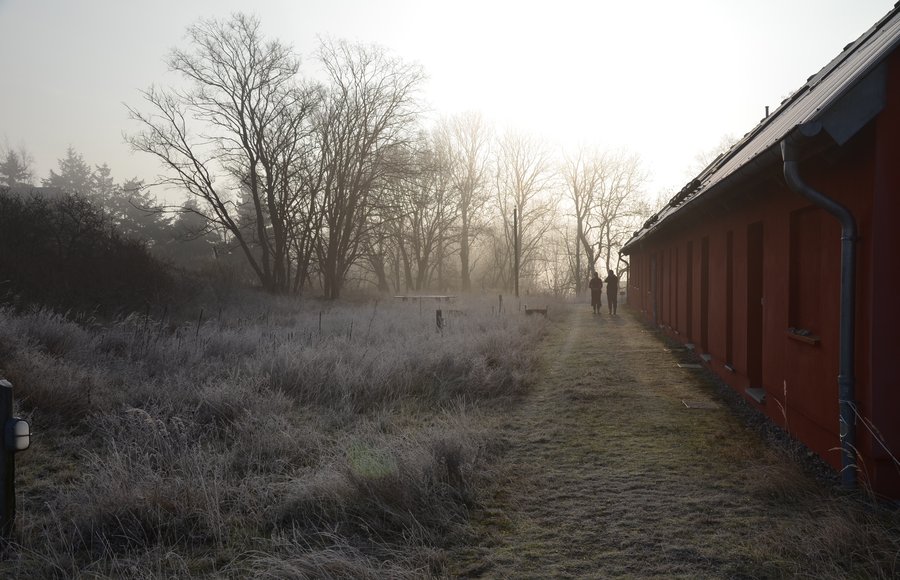 Raureif-Morgen am pergo